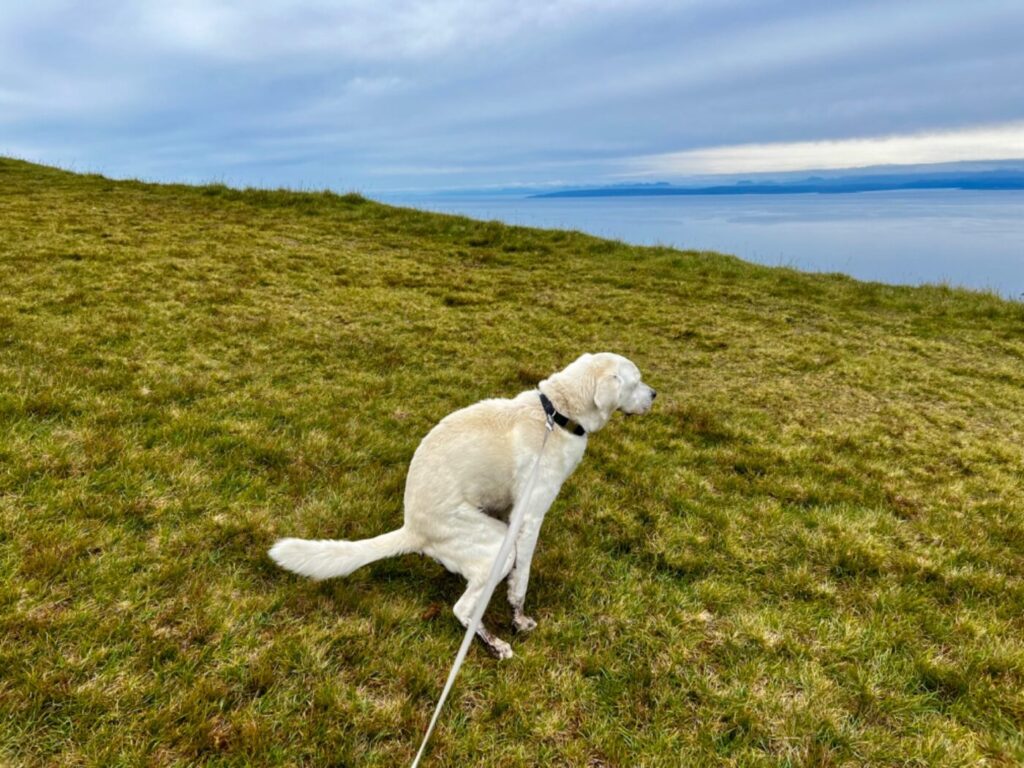 Isle of Skye in den schottischen Highlands 32 Schottland mit dem Wohnmobil