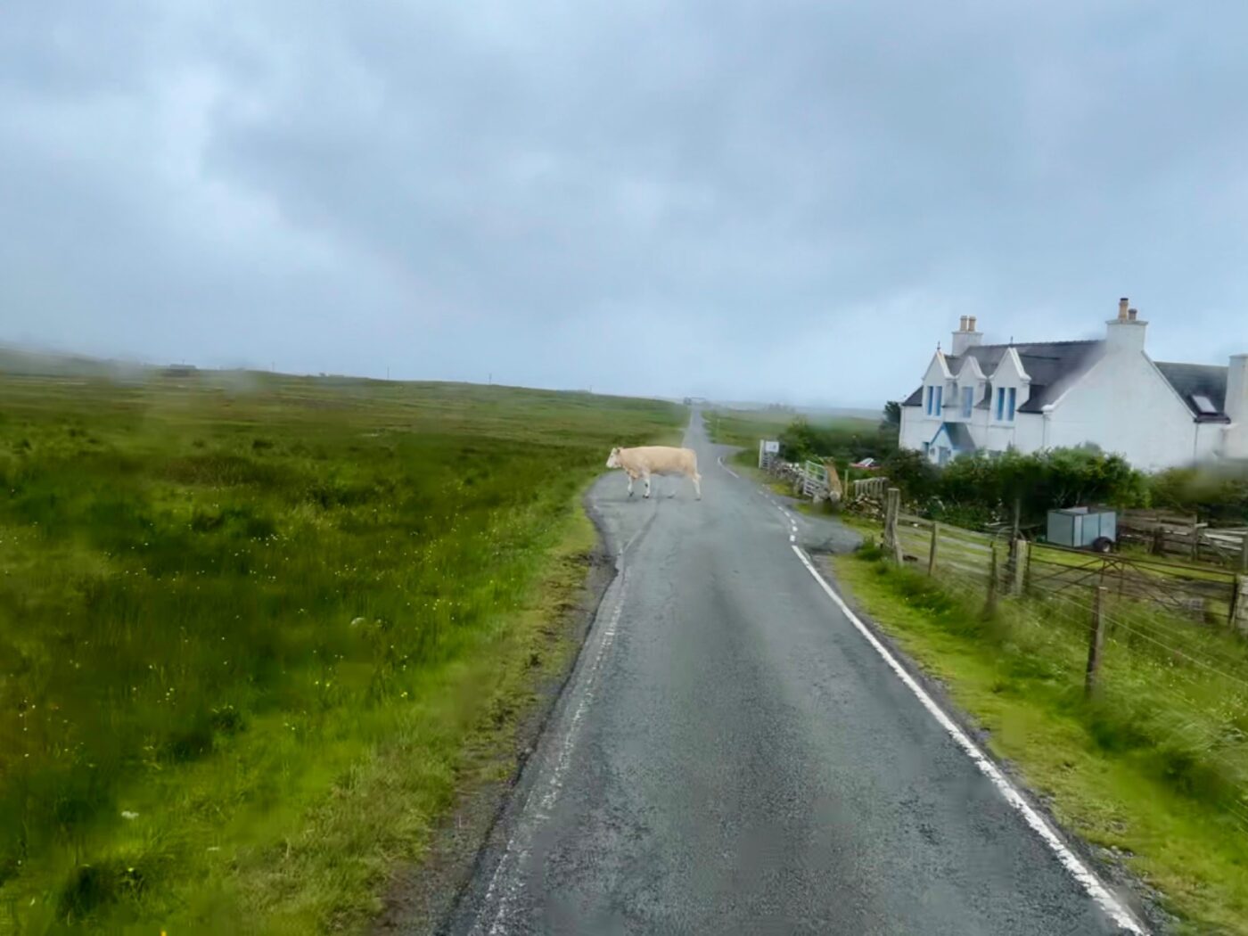 Isle of Skye in den schottischen Highlands 35 Schottland mit dem Wohnmobil
