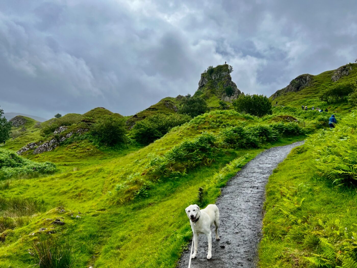 Isle of Skye in den schottischen Highlands 37 Schottland mit dem Wohnmobil