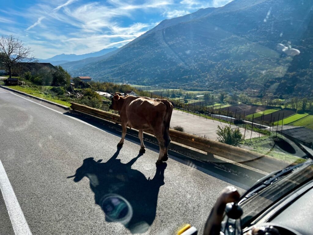 Einmal quer durch Bosnien Herzegowina 29 Von Bosnien nach Montenegro mit dem Wohnmobil