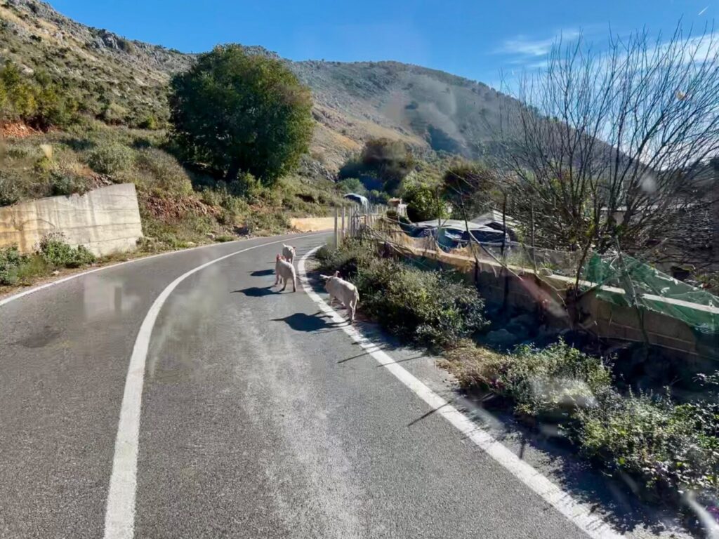 Wunderschön in Montenegro - dann ab nach Albanien 19 Albanien mit dem Wohnmobil