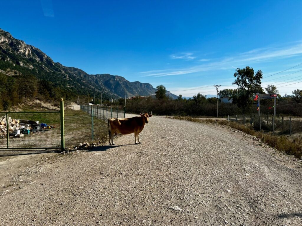 Wunderschön in Montenegro - dann ab nach Albanien 18 Albanien mit dem Wohnmobil