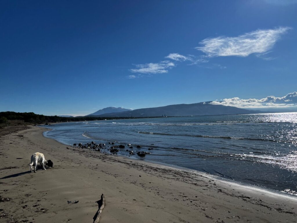 Wunderschön in Montenegro - dann ab nach Albanien 40 Albanien mit dem Wohnmobil