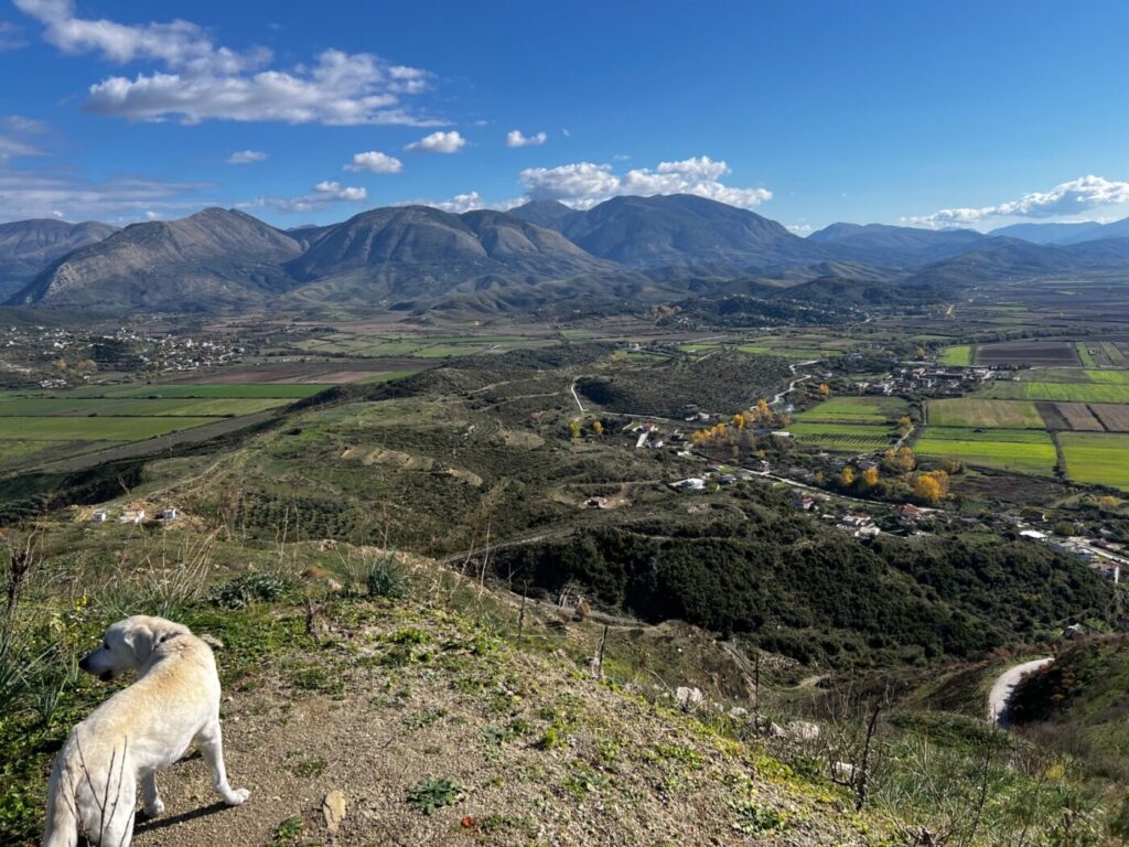 Wunderschön in Montenegro - dann ab nach Albanien 53 Albanien mit dem Wohnmobil