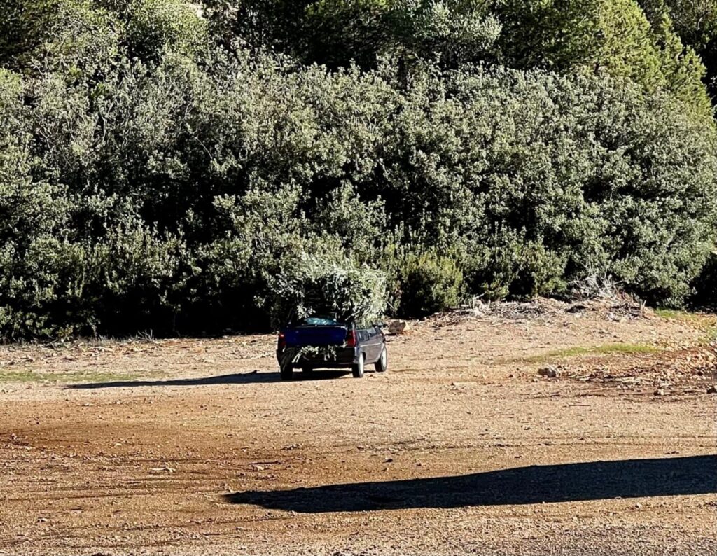 Nach Griechenland mit dem Wohnmobil 22 Angekommen in Griechenland