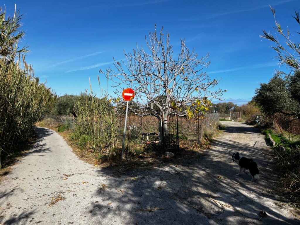 Kreta in Griechenland mit dem Wohnmobil bereisen 39 Kreta mit dem Wohnmobil