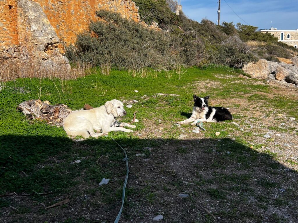 Kreta in Griechenland mit dem Wohnmobil bereisen 45 Kreta mit dem Wohnmobil