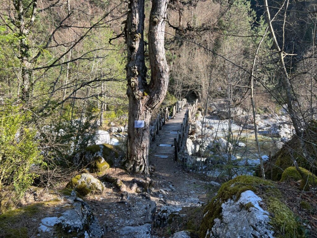 Auf nach Nordgriechenland zum Olymp 17 Olymp in Griechenland